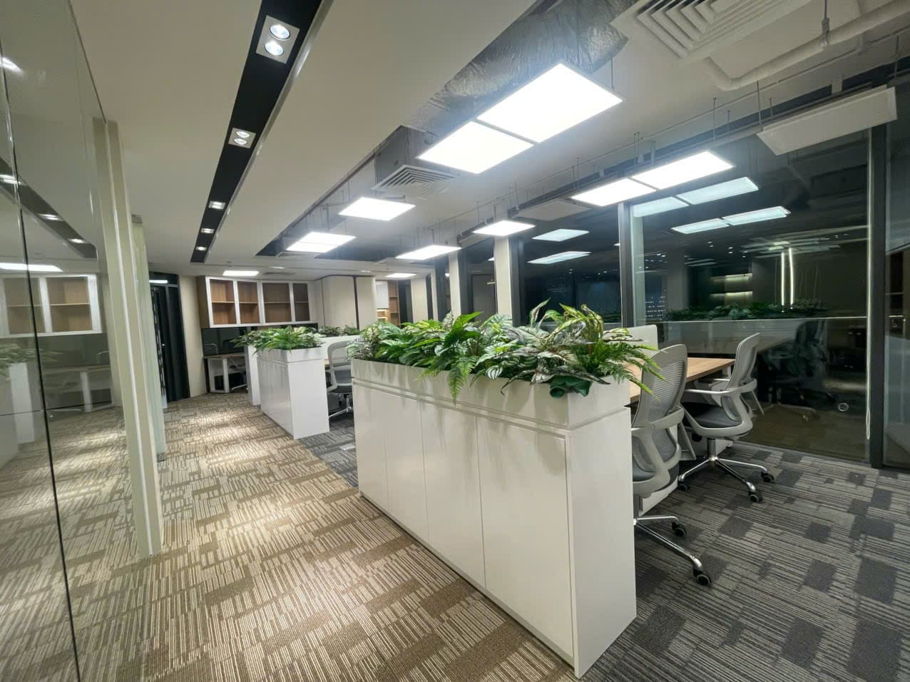 Hoạt động và văn hóa làm việc tại HCM VIF (3/18)
